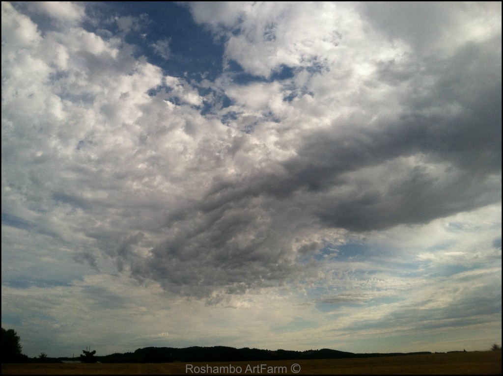 Clouds, upper field