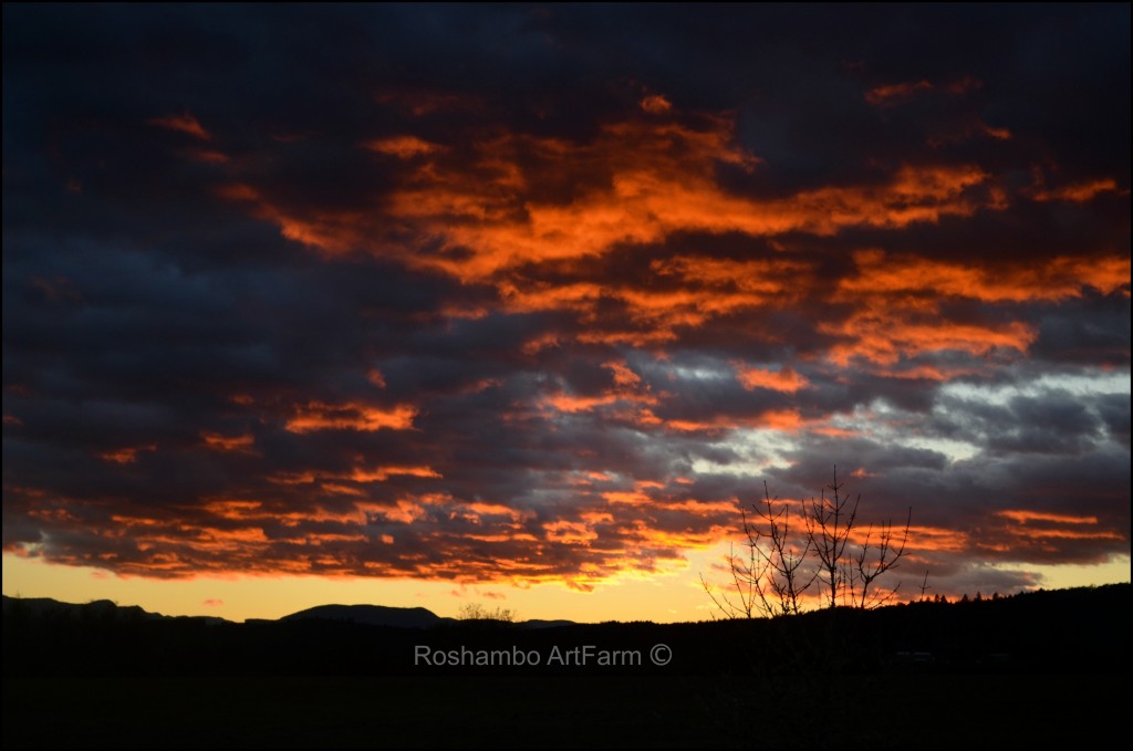 Sunset in the Upper Field