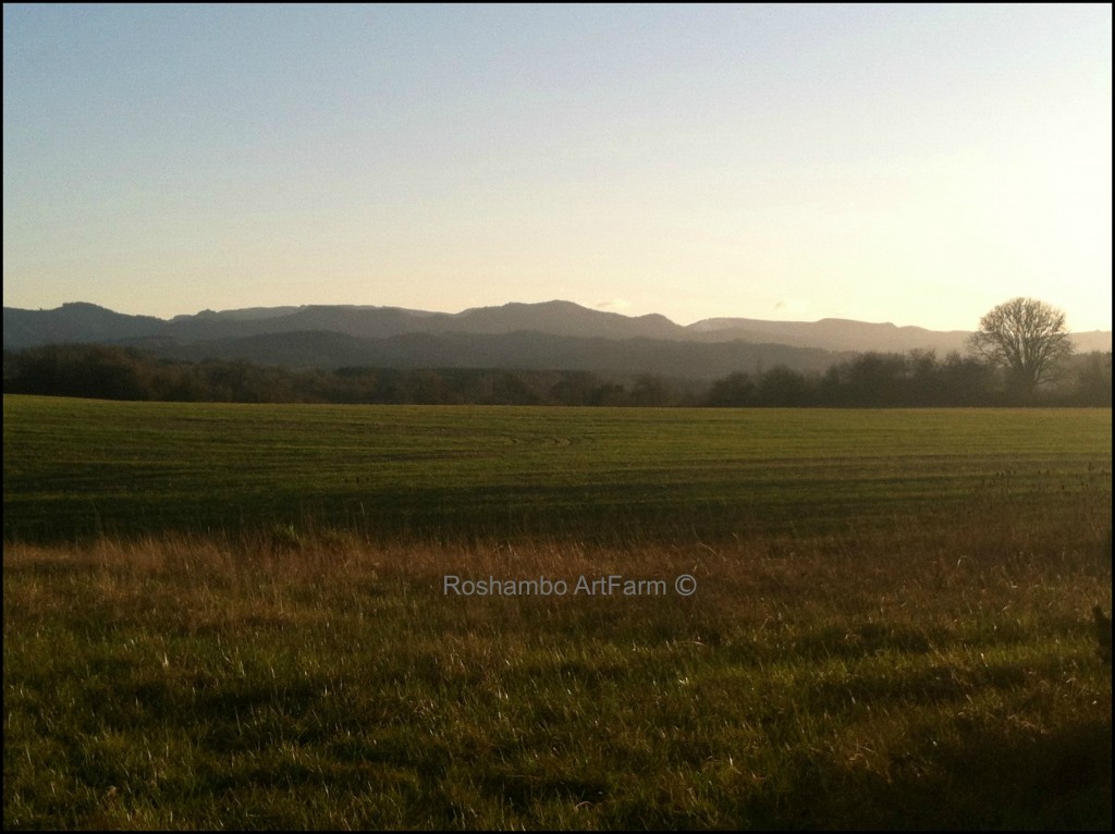 Upper Field at Dusk